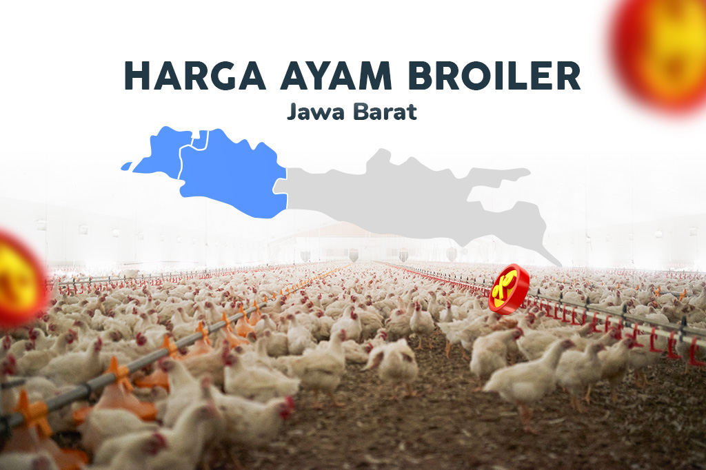 Harga Ayam Jawa Barat – 15 Agustus 2026