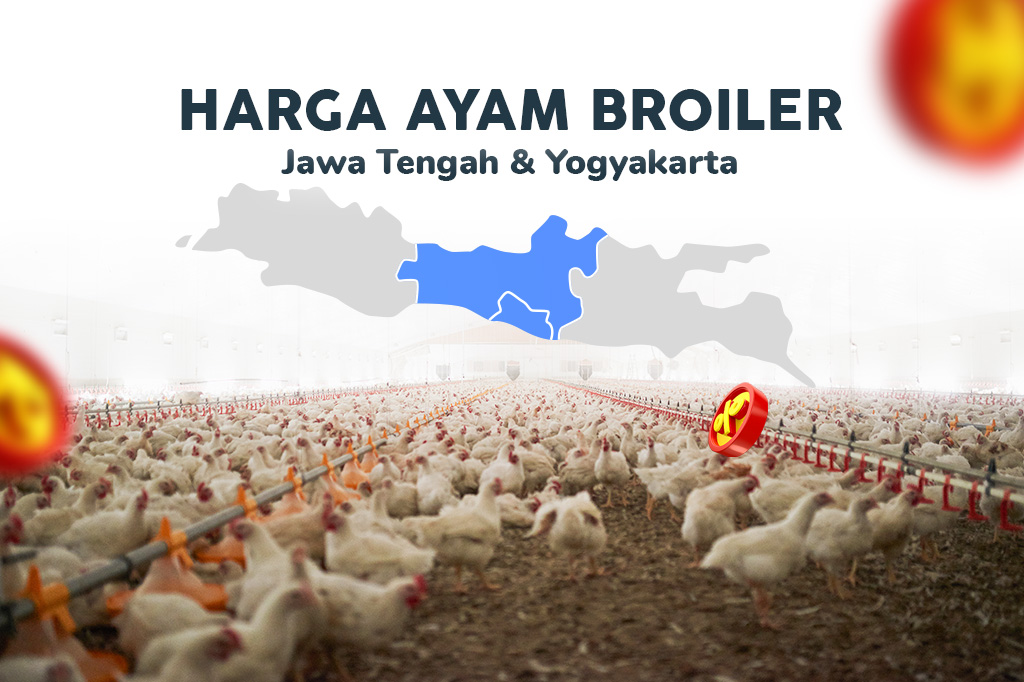 Harga Ayam Jawa Tengah & Jogja – 20 Juni 2026