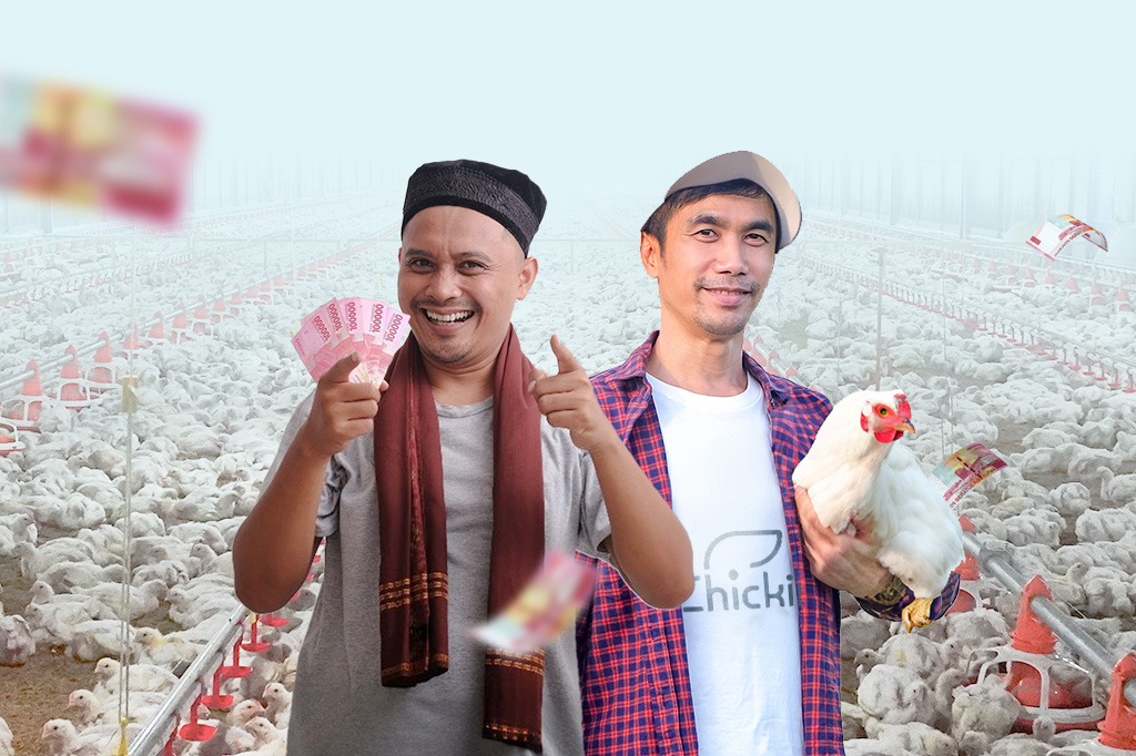Diluar Hasil Panen! Ini 5 Bonus yang Bisa Didapatkan Peternak Ayam Kemitraan