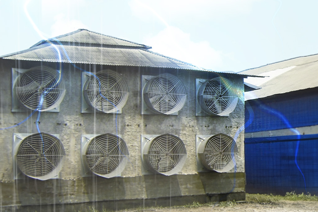 Cara Mengatur Blower Kandang Ayam Closed House di Musim Hujan