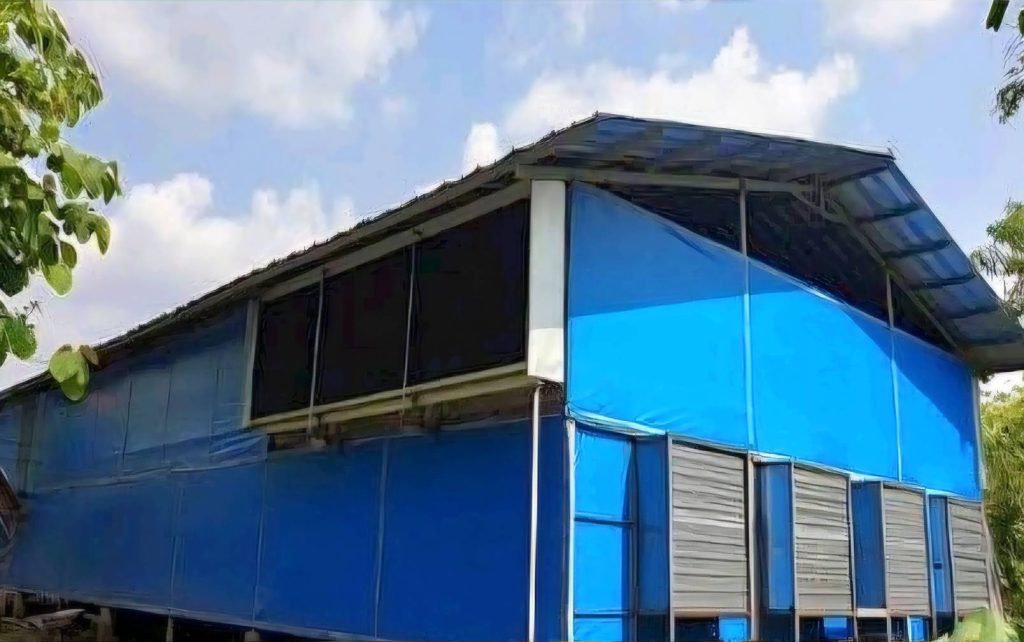Desain Kandang Ayam Ideal untuk Cegah Stres dan Kematian