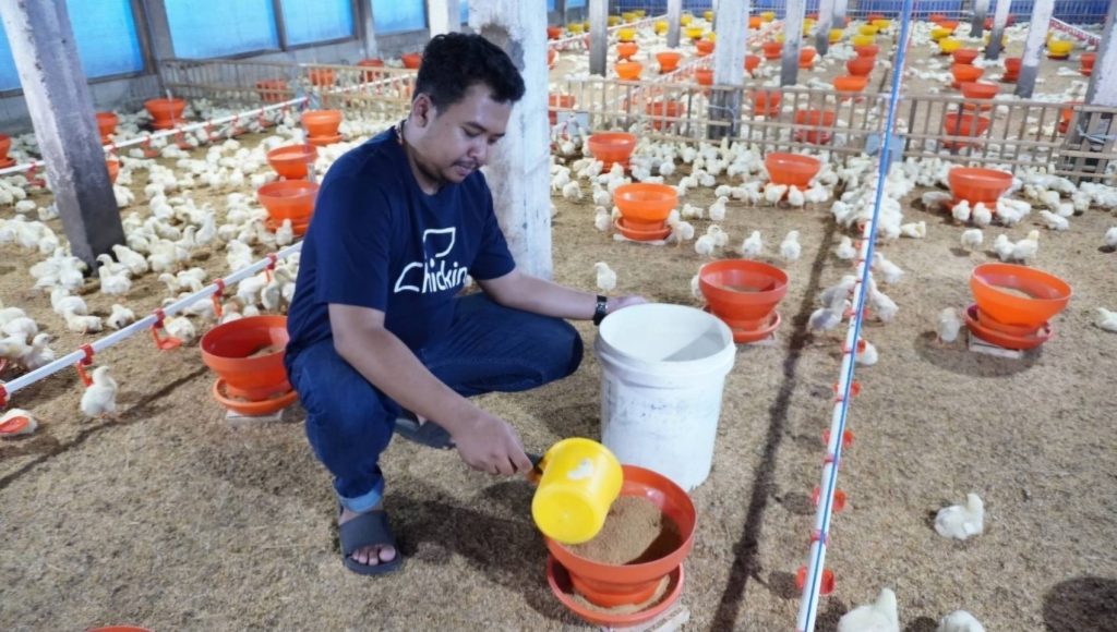 Penanganan Kandang yang Tepat Pasca Lebaran