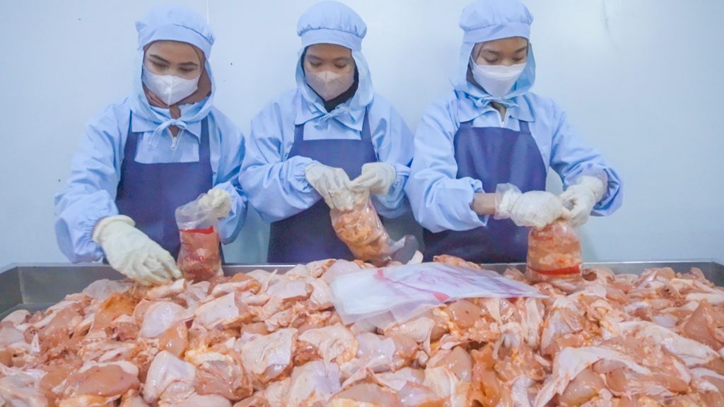 Supplier Ayam untuk Fried Chicken: Mudah, Murah, Berkualitas