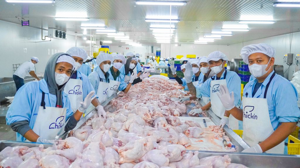 Supplier Paha dan Sayap Ayam Untuk Program Makan Bergizi Gratis (MBG)