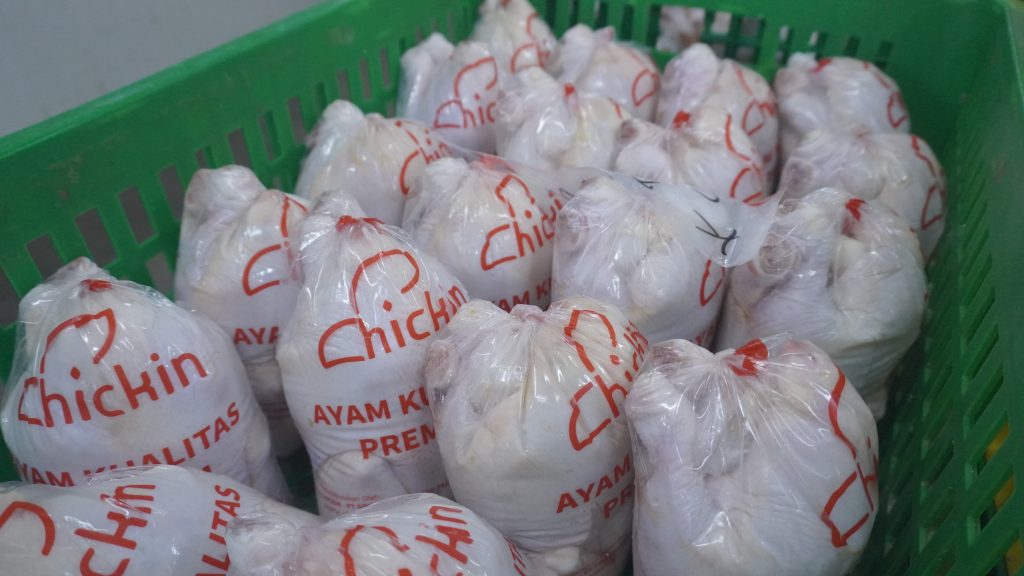 Cara Memilih Ayam Berkualitas untuk Bisnis Kuliner
