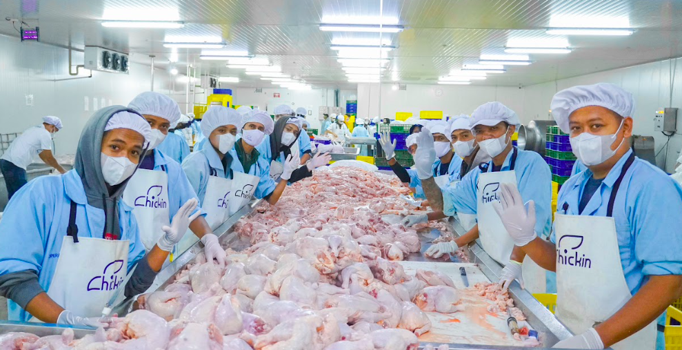 Supplier Ayam Frozen Terpercaya untuk MBG di Bandung