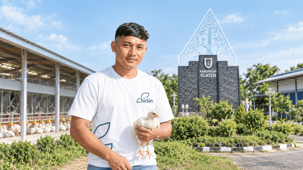 Peluang Kemitraan Ayam Broiler di Klaten Bersama Chickin