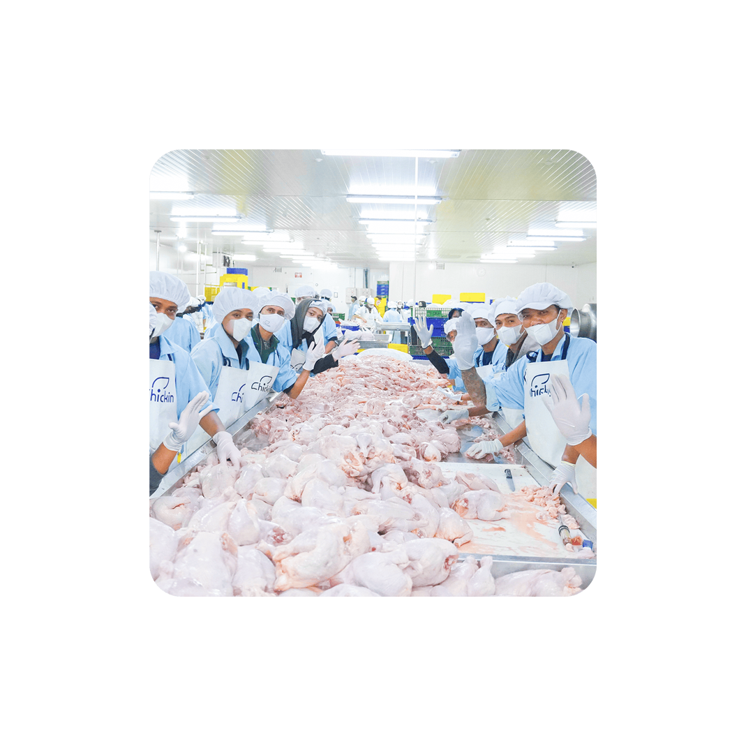 Harga Kompetitif